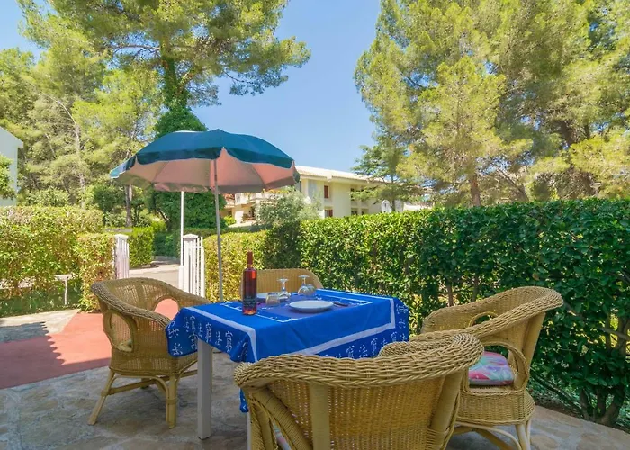 Encinas 1 * Port de Pollenca